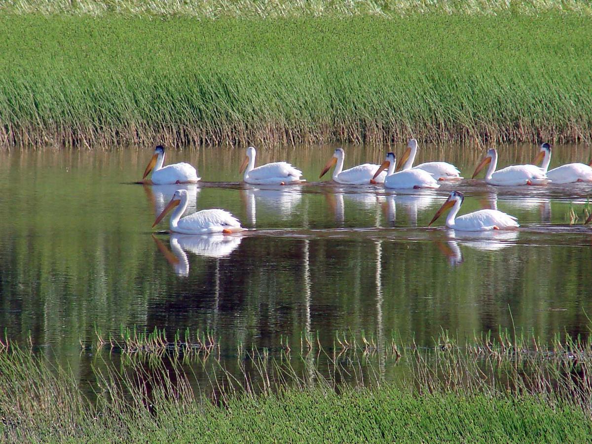 Eagle'S Nest Resort Anahim Lake المظهر الخارجي الصورة